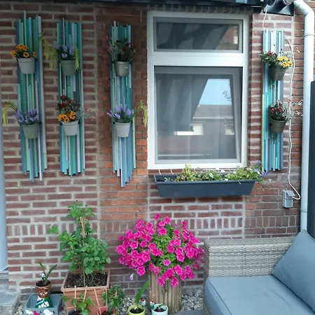 Nergens * Rotterdam