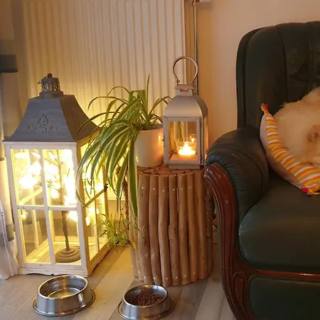 Apartamento Nergens Róterdam